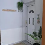 Daire Nikol & Stella's House *